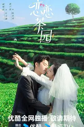 《恋恋茶园2024》：一段跨越时空的茶香恋歌，情定今生