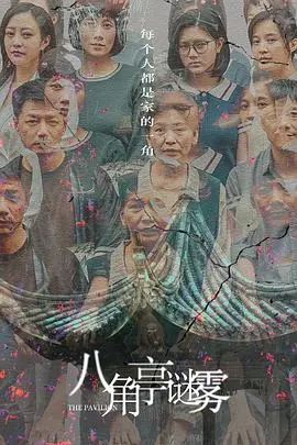 《八角亭谜雾》影评：迷雾重重，家庭悬疑剧的爱与痛，谁是真凶？